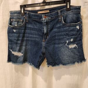 JOES cutoff Short Size 32